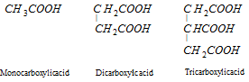 2410_carboxylic acid1.png