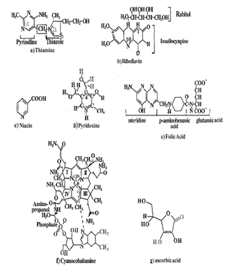 2419_Explain An Overview of Water Soluble Vitamins.png