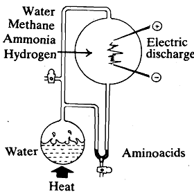 2427_Millers  Experiment.png