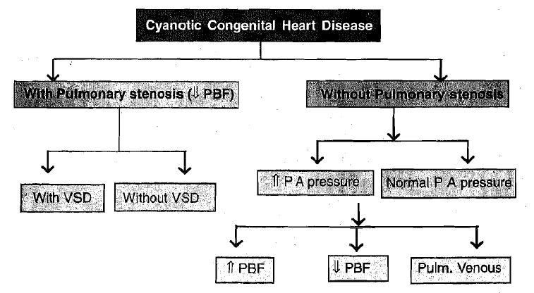 2433_cyanotic congenital heart disease chart.png