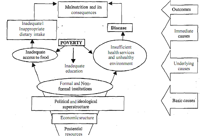 2435_Causes of Malnutrition.png