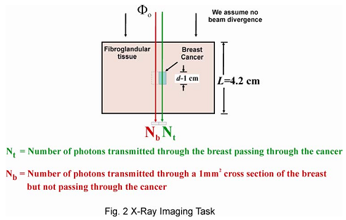 244_Physics of Medical Imaging1.png