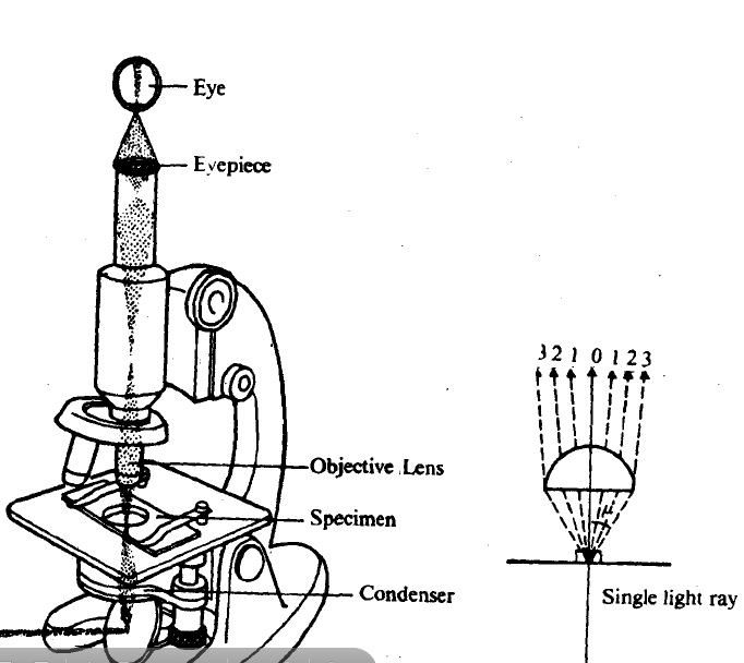 2475_compound microscope.jpg