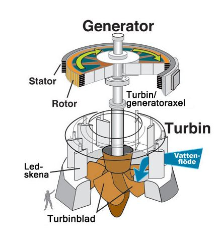 2488_Basics of Electrical Engineering.png