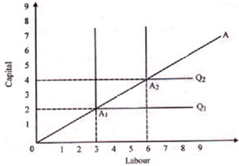 2490_Show the Fixed Proportion Production Function.png