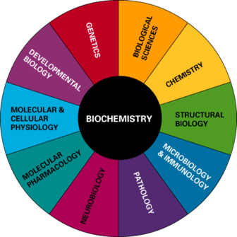 253_biochemistry.png