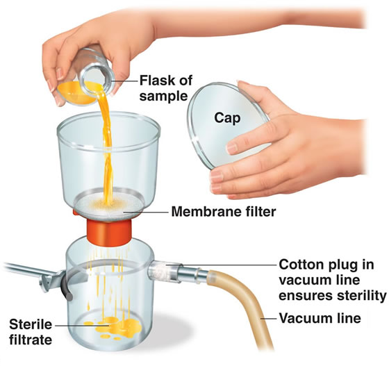 269_Physical Methods to Control Microorganisms.png