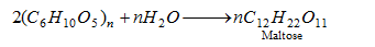 271_Starch and its derivatives 1.png