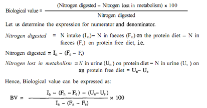 320_Biological Value of Protein 2.png