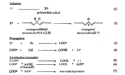 323_Define Protection of poly unsaturated fatty acids.png