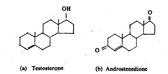352_Synthesis of Hormones.png