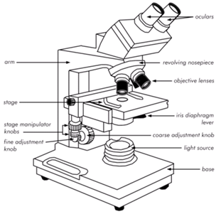358_Bright Field Microscopes.png