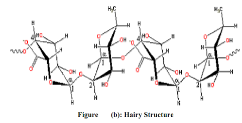 35_biology.png