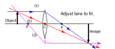 36_Ray Diagrams for Lenses 2.png