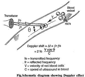 379_Peak Flow Velocity.png