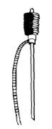 385_A carboy siphon.png