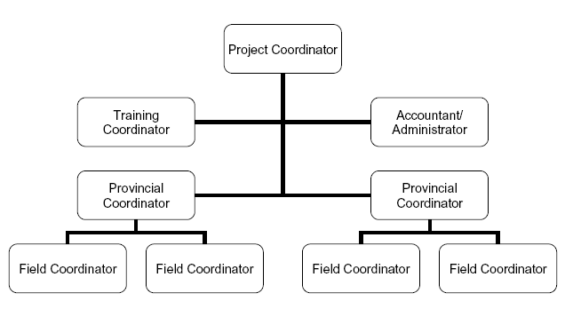 385_organizational structure.png