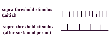 386_Coding for stimulus intensity1.png