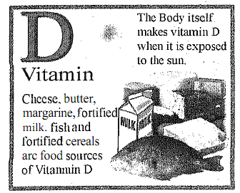 388_Define Absorption, Storage and Elimination of Vitamin D.png