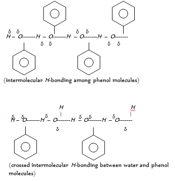 393_Physical properties of Phenol.png