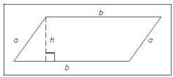 399_Quadrilaterals.png