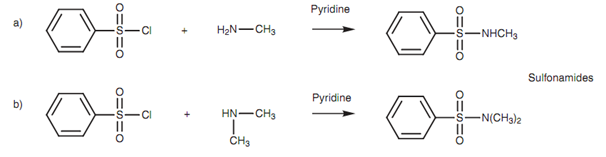 401_Sulfonylation.png
