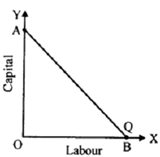 418_Explain about Linear Isoquant.png