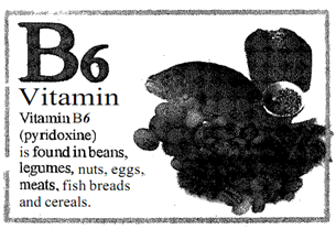 420_Determine the Food Sources of Pyridoxine.png