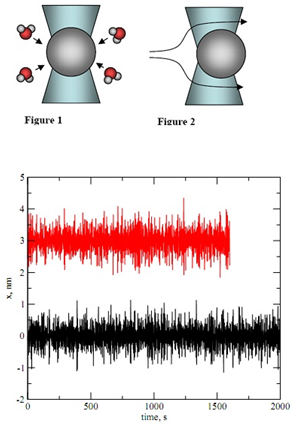 424_Polymer diffusion-calibration of an optical tweezer1.png