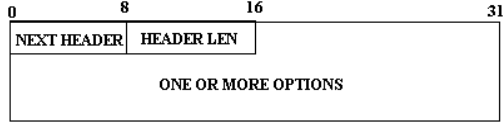 434_The Ipv6 option extension header.png