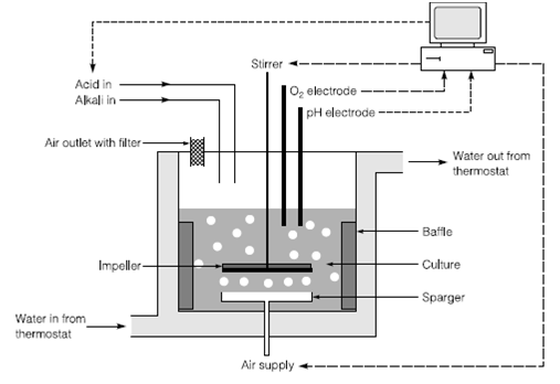 442_The simple stirred tank fermenter.png