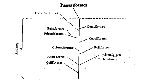 470_Relative quantitative difference of protein taxonomy.png