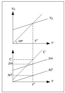 474_Determination of C - Im and NT.png