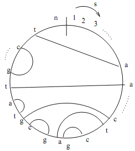 496_Compute a shortest superstring.png