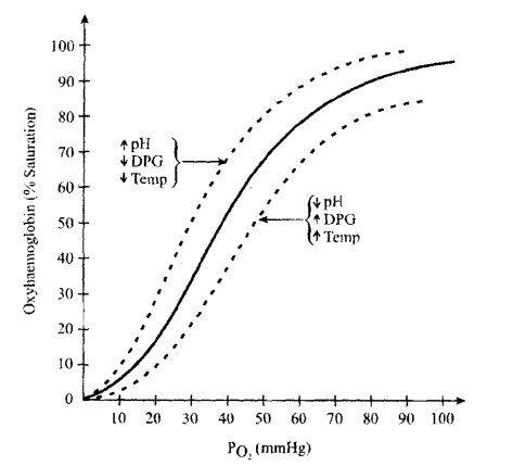 505_Explain Oxygen Dissociation Curve.png