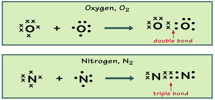 506_Multiple covalent bonds1.png