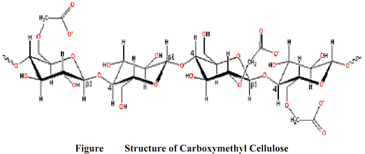 507_biology.png