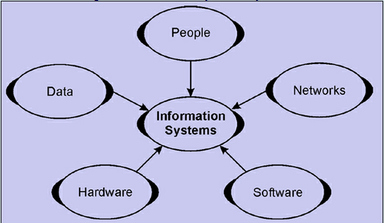 527_Components of Information System.png