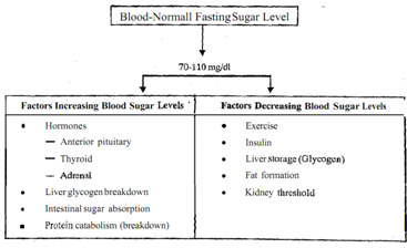 546_Factors Affecting Normal Blood Sugar Levels.png