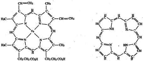 548_What is chlorophyll.png