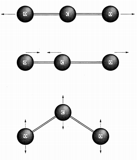 553_Vibrational modes of carbon dioxide molecule.png