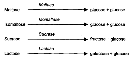 564_monosaccharide.png