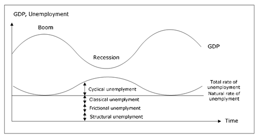 573_Show the Different kinds of unemployment.png