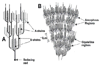 578_biology.png