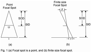 595_Physics of Medical Imaging.png