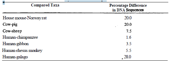 618_DNA Hybridisation.png