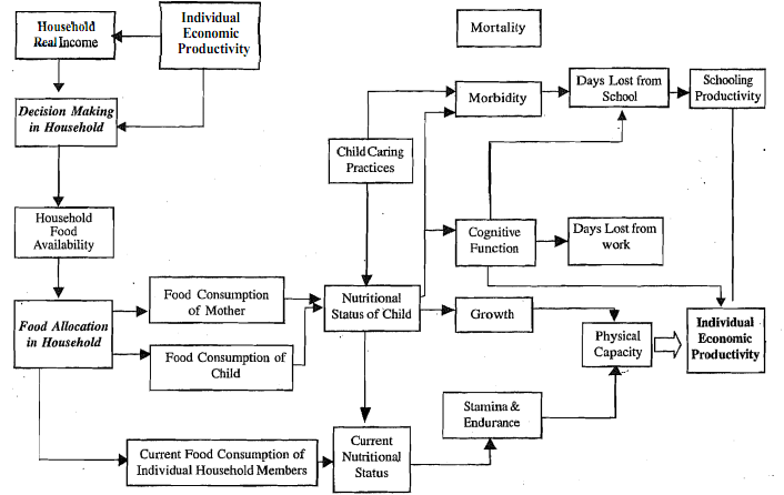 620_Economic consequences of malnutrition.png