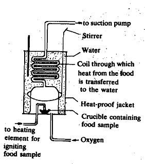 623_Bomb Calorimeter.png