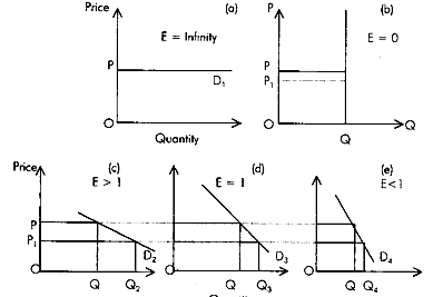 630_Demand-elastisity-curve.png