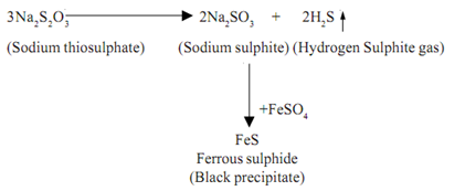 670_Carbohydrate Utilization Pattern Test.png